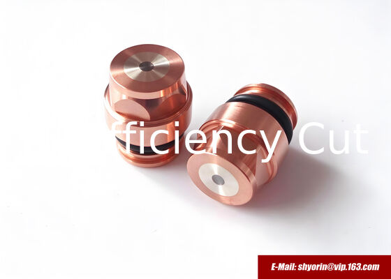 China 0558003914,0558003928,0558005459 electrode for ESAB PT-36/PT-600/PT-37. supplier
